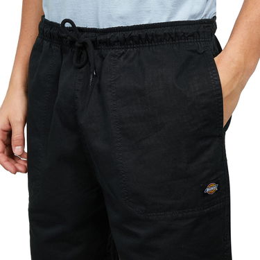 Shorts Dickies Pelican Rapids Shorts Sort | DK0A4XB2BLK1, 2