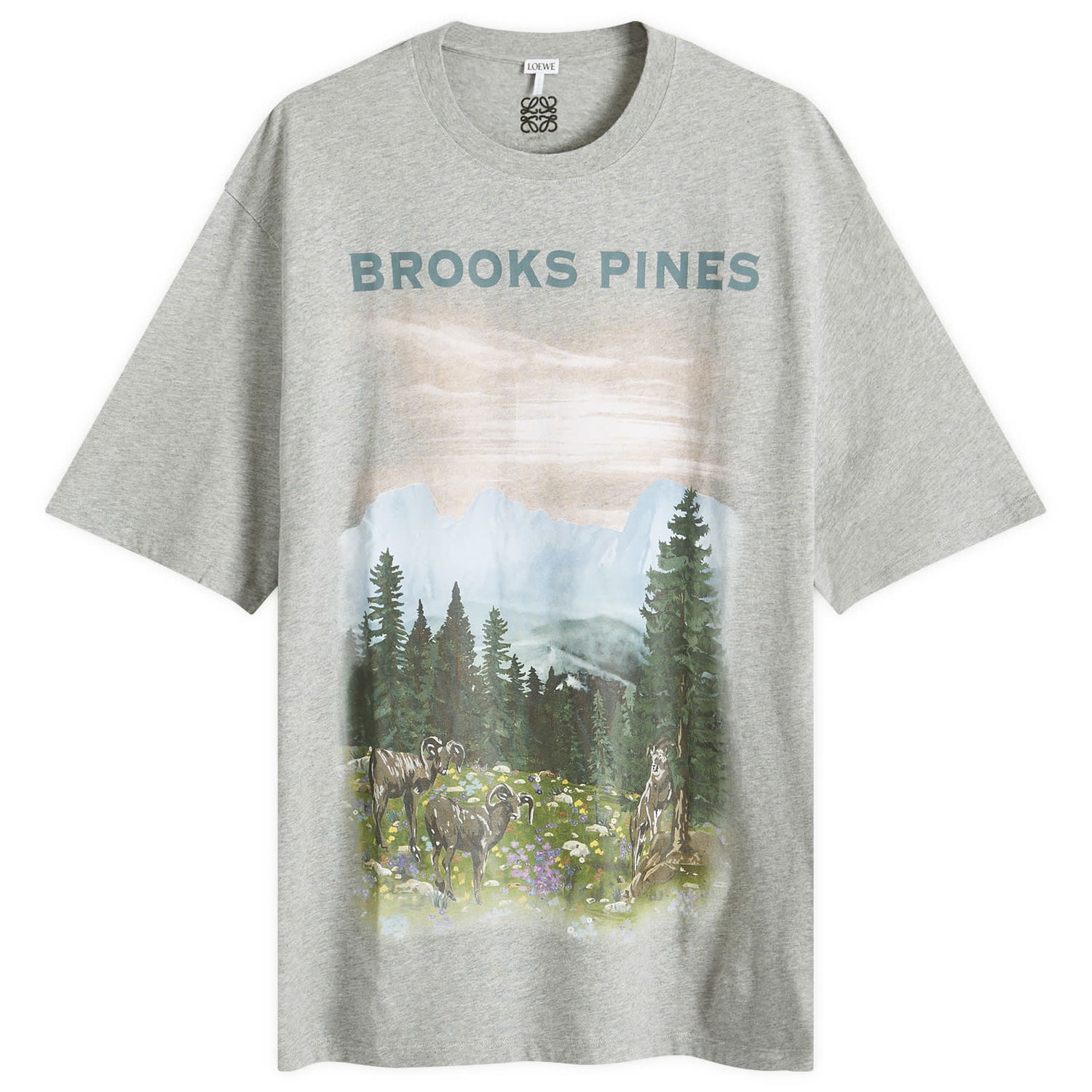 T-shirt Loewe Mountain Graphic T-Shirt Grå | H526Y22XBB-1440, 0