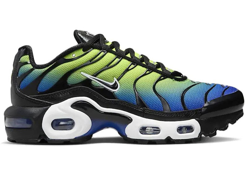 Sneakers og sko Nike Air Max Plus Flerfarvet | HF0093-400, 0