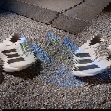 Sneakers og sko adidas Performance ADIZERO ADIOS 9 Hvid | if9418, 7