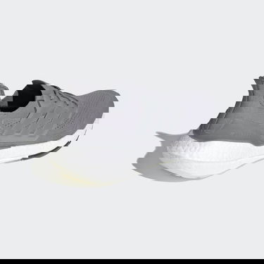 Sneakers og sko adidas Performance UltraBoost 21 Grå | FY0381, 1