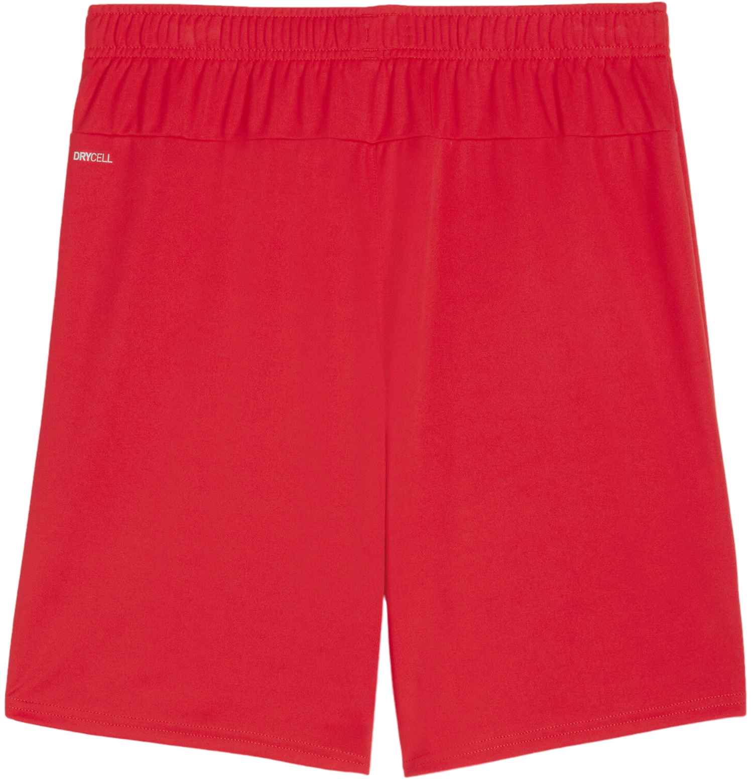 Shorts Puma teamGOAL Shorts Rød | 705752-01, 1
