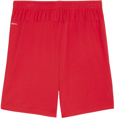 Shorts Puma teamGOAL Shorts Rød | 705752-01, 1