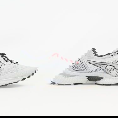 Sneakers og sko Asics Gel-Nimbus 22 Grå | 1021A516-020, 1