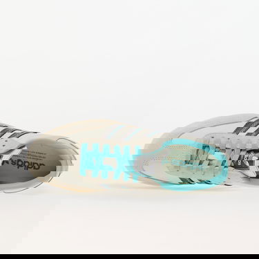 Sneakers og sko adidas Originals adidas Samba OG W Beige | IG6048, 1