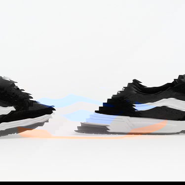 Sneakers og sko Vans Skate Hylane Blå | VN000D26Y61, 2