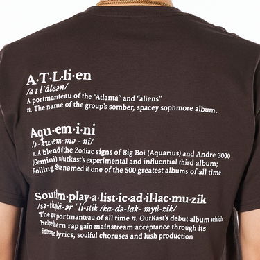 T-shirt Pleasures Vocabulary Tee Brun | P22SP059-BROWN, 1