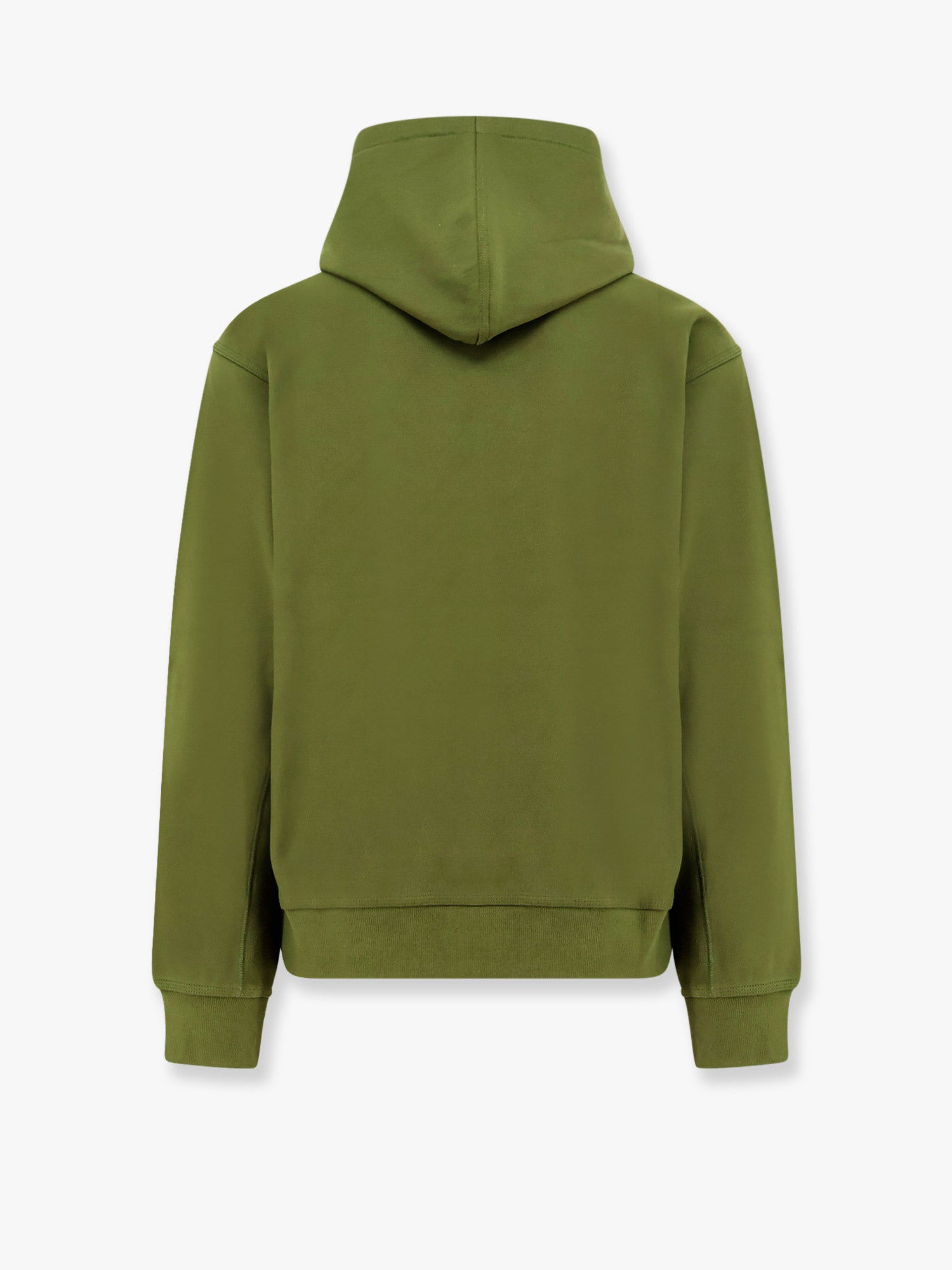 Sweatshirt Carhartt WIP WIP Script Hoodie Grøn | I0282792BRXX, 1