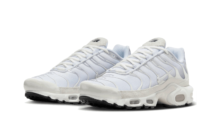 Sneakers og sko Nike Air Max Plus Sail "Pure Platinum" Grå | FN7813-001, 1