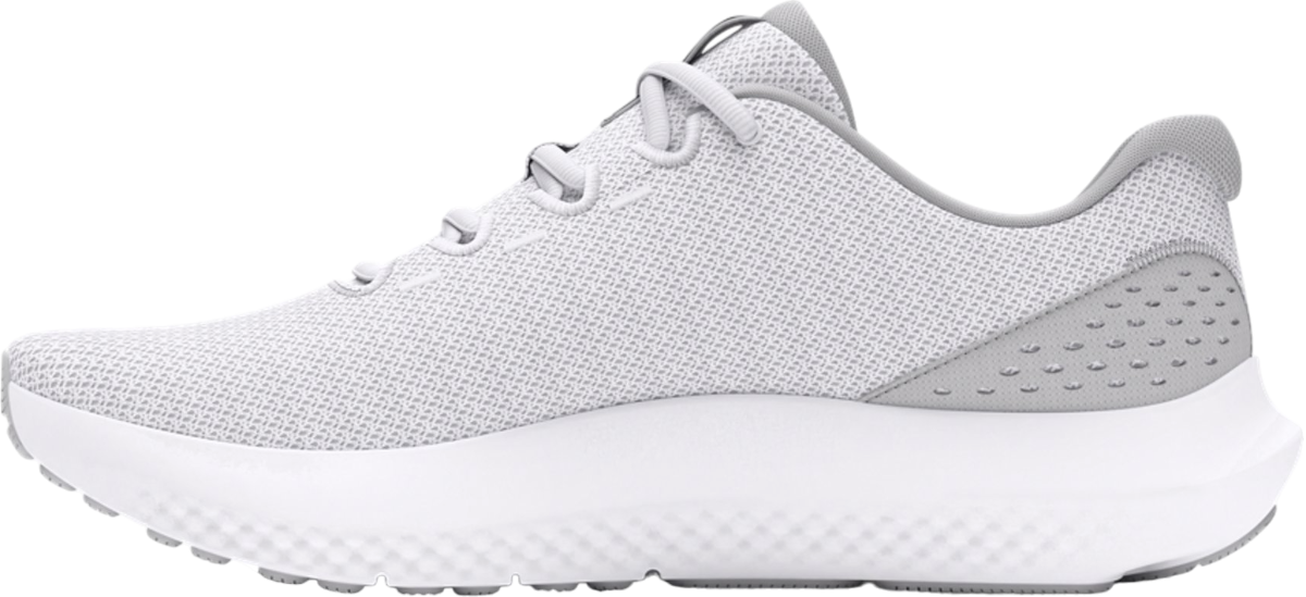 Sneakers og sko Under Armour UA Charged Surge 4 Grå | 3027000-100, 1