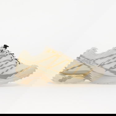 Sneakers og sko Salomon XT-Pathway Gtx Beige | L47861800, 2