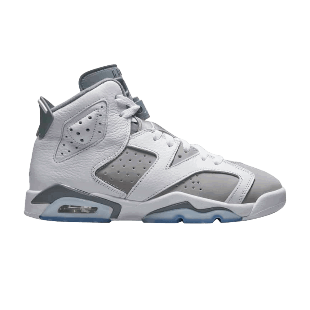 Sneakers og sko Jordan Air Jordan 6 Retro "Cool Grey" GS Grå | 384665-100, 0