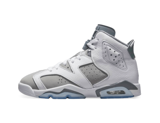 Sneakers og sko Jordan Air Jordan 6 Retro "Cool Grey" GS Grå | 384665-100
