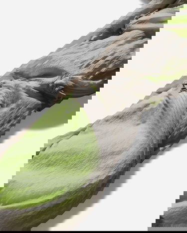 Jakke Post Archive Faction (PAF) 7.0 Multi Pocket Sporty Jacket Grøn | 7.0OJL WG, 4