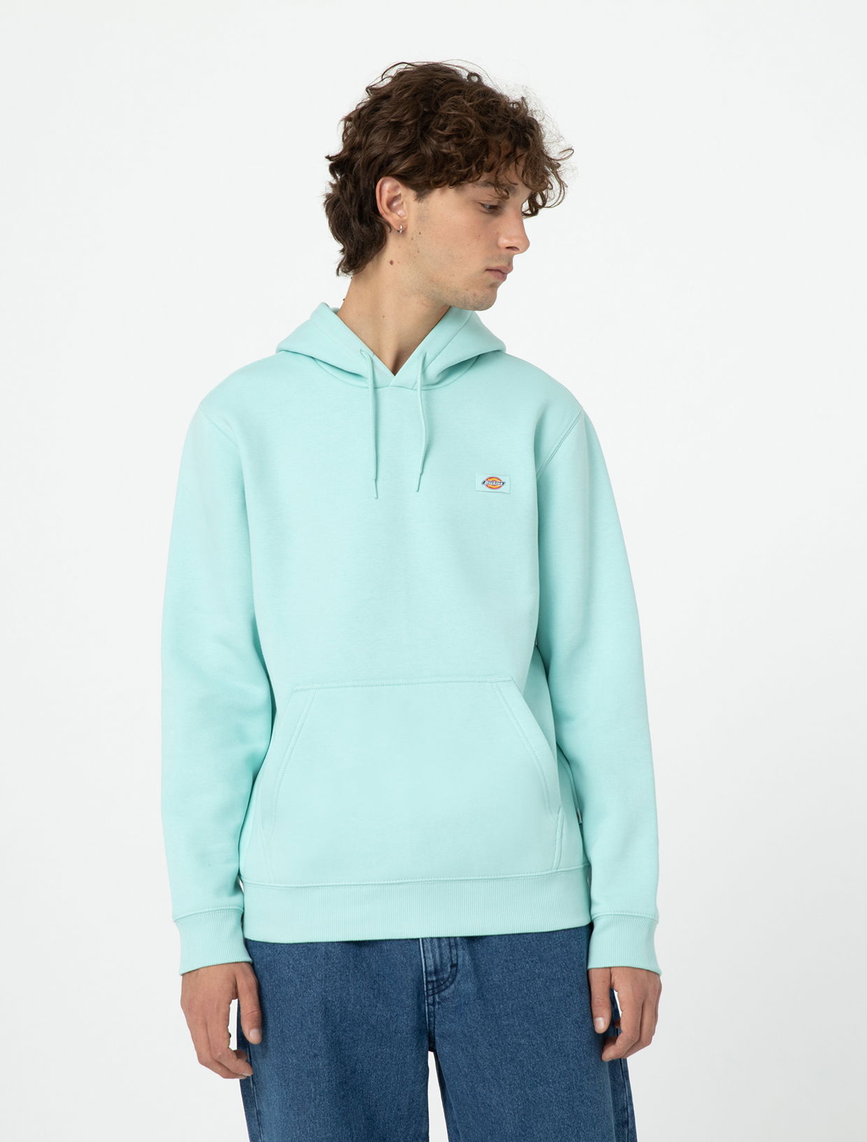 Sweatshirt Dickies Oakport Hoodie Turkis | 0A4XCD, 0