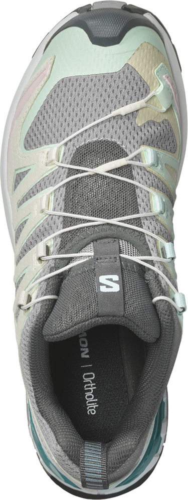 Sneakers og sko Salomon XA PRO 3D V9 W Grå | l47118900, 4