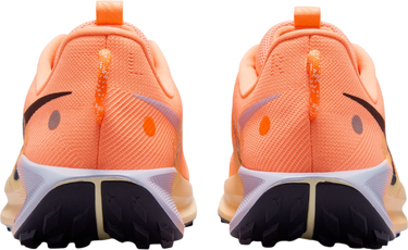 Sneakers og sko Nike Pegasus Trail 5 Orange | dv3864-800, 1