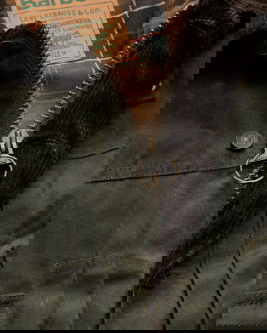 Jakke Levi's Type II Waxed Trucker Jacket Grøn | 008GN00050 001, 3