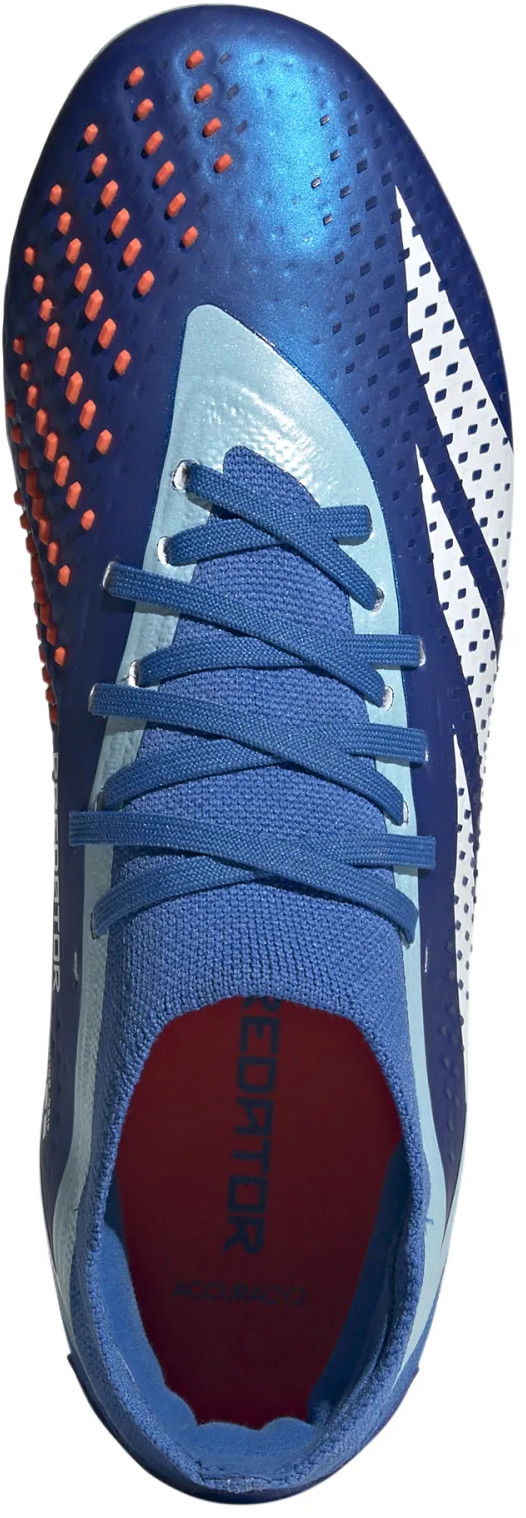 Sneakers og sko adidas Performance PREDATOR ACCURACY.2 FG Blå | gz0027, 1