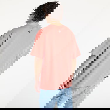 T-shirt Footshop Spiritual Gangster Peach Graphic T-Shirt Lyserød | FTSHP_388, 4