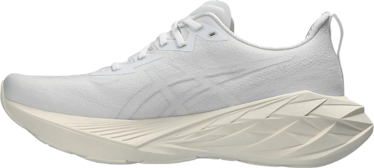 Sneakers og sko Asics NOVABLAST 4 Grå | 1011b693-102, 1
