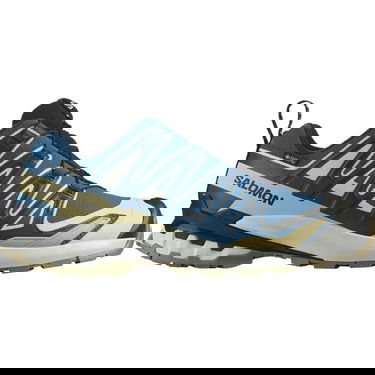 Sneakers og sko Salomon Xa Pro 3D v9 GTX Blå | L47817400, 0