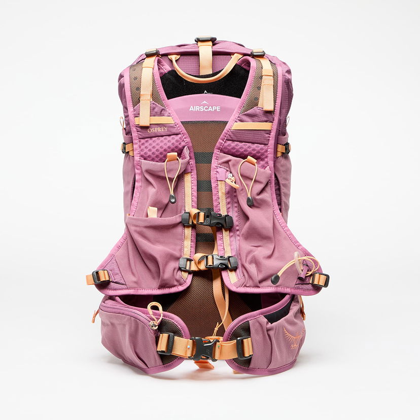 Rygsæk Osprey Velocity 20 Backpack Lilla | 10043048OSP.01.WML