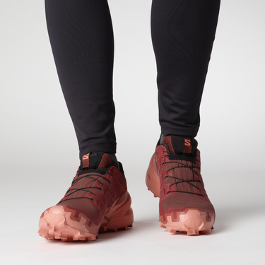 Sneakers og sko Salomon SPEEDCROSS 6 GTX W Bourgogne | l47584300, 1