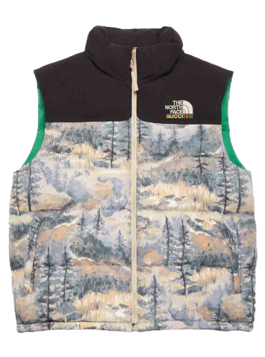 Vest Gucci The North Face x Down Vest Grøn | 663762XAADS3471