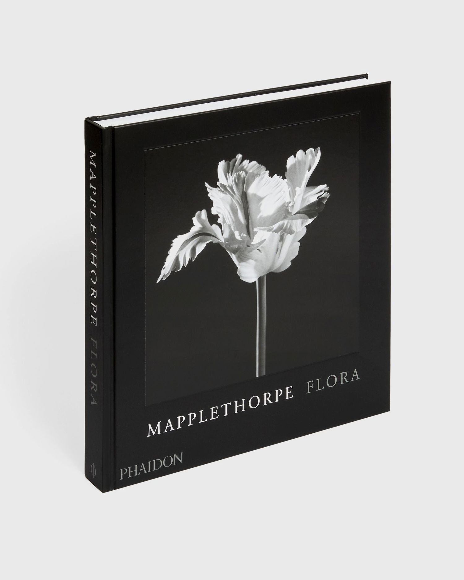 Tøj og tilbehør Phaidon Robert Mapplethorpe Sort | 9781838668211, 0