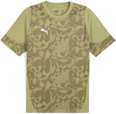 Jersey Puma teamCUP Graphic T-Shirt Grøn | 659167-40, 0