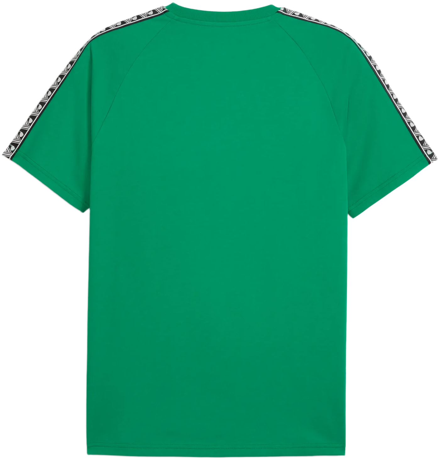 T-shirt Puma teamKING T-Shirt Grøn | 660532-05, 1