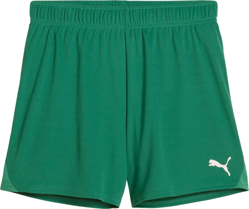 Shorts Puma Puma teamGOAL Handball Shorts Grøn | 706019-05