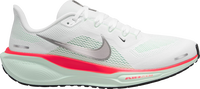 Pegasus 41