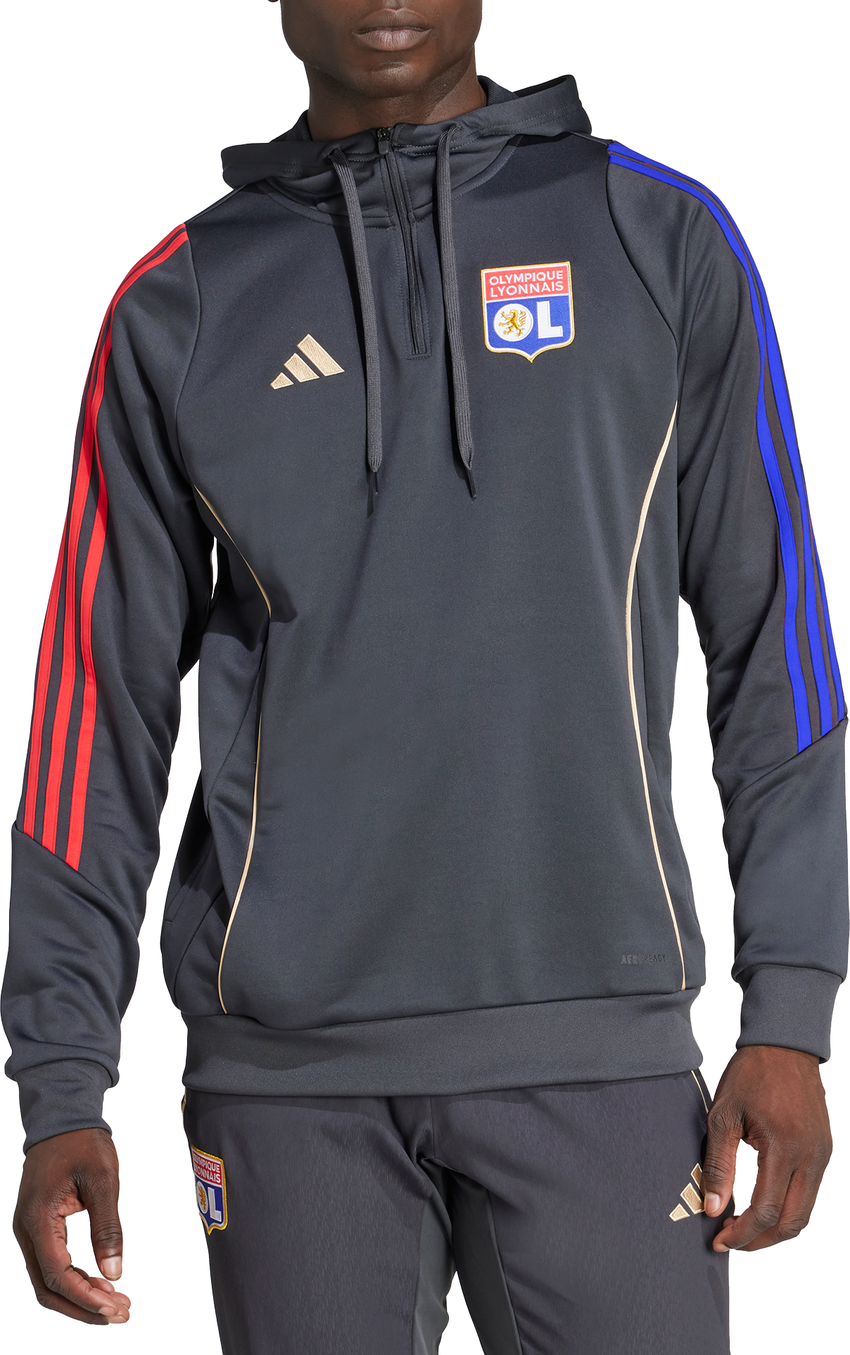 Sweatshirt adidas Originals Olympique Lyonnais TR Hoody Grå | jl9490, 1