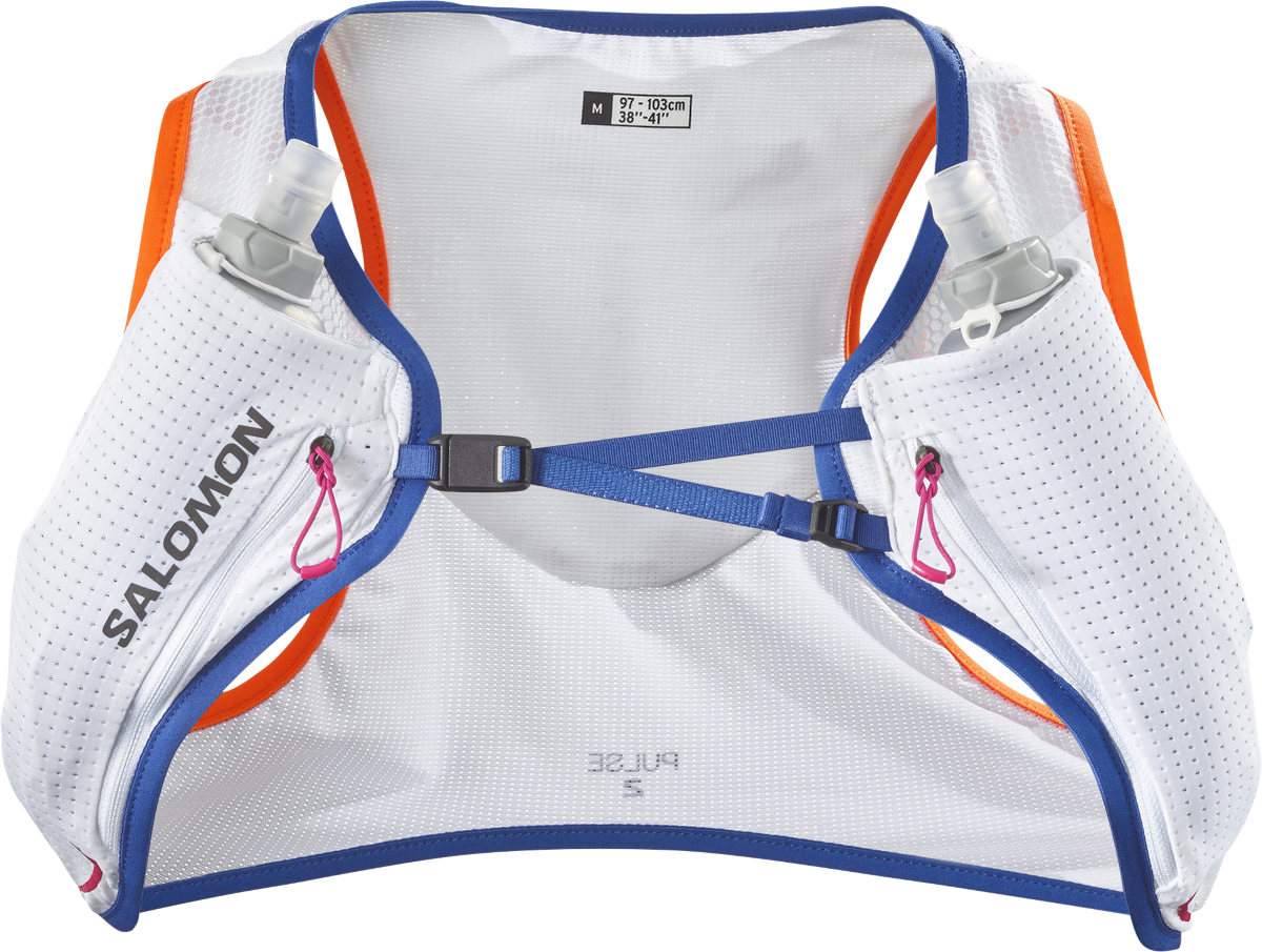 Rygsæk Salomon PULSE 2 SET Grå | lc2176900, 1