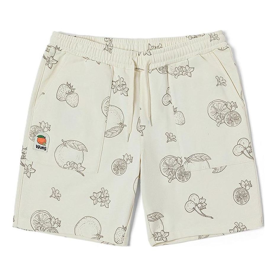 Shorts Vans Knitted Graphic Shorts Hvid | VN0008Y0BTA, 0