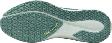 Sneakers og sko Nike Pegasus 41 GORE-TEX Turkis | fq1357-003, 4