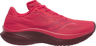 Sneakers og sko Saucony KINVARA 15 Rød | s10967-216, 0