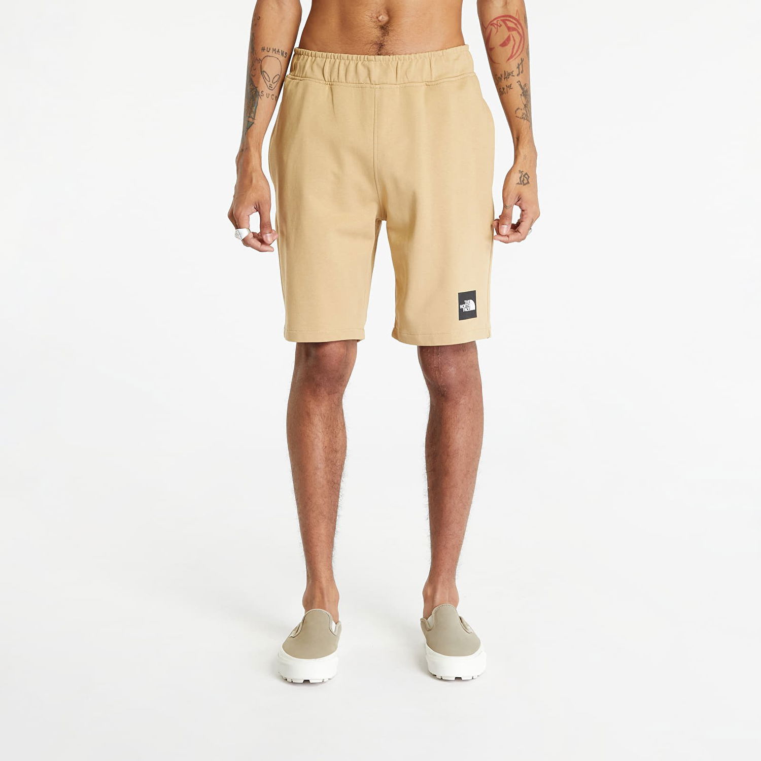 Shorts The North Face Summer Logo Short Beige | NF0A8237LK51, 0