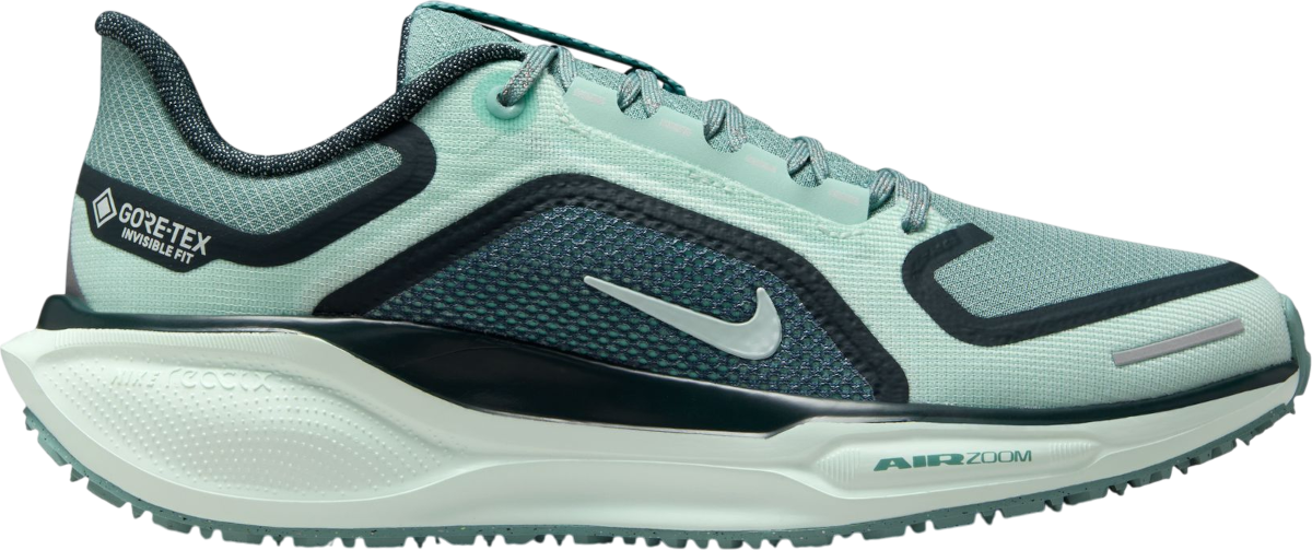 Sneakers og sko Nike Pegasus 41 GORE-TEX Turkis | fq1357-003, 0