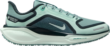 Sneakers og sko Nike Pegasus 41 GORE-TEX Turkis | fq1357-003, 0