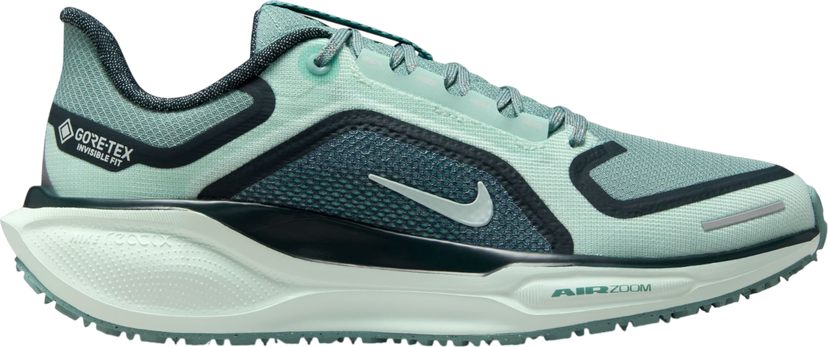 Sneakers og sko Nike Pegasus 41 GORE-TEX Turkis | fq1357-003