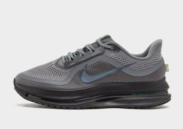 Sneakers og sko Nike Pegasus Premium Grå | HQ2592-012, 0
