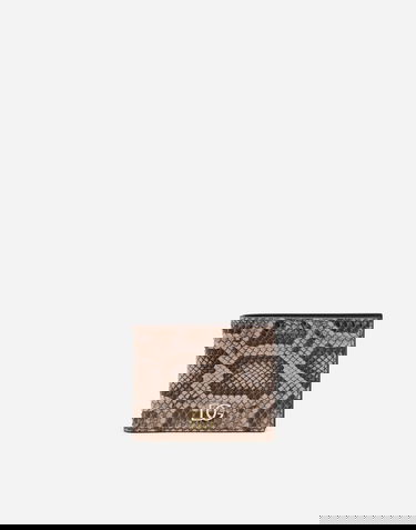 Tegnebog Dolce & Gabbana Dolce & Gabbana Python Leather Bifold Wallet with Crossover DG Logo Beige | BP2463A204387145, 0
