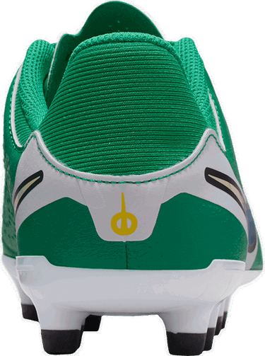 Sneakers og sko Nike JR LEGEND 10 ACADEMY FG/MG LV8 Grøn | hj7190-300, 4