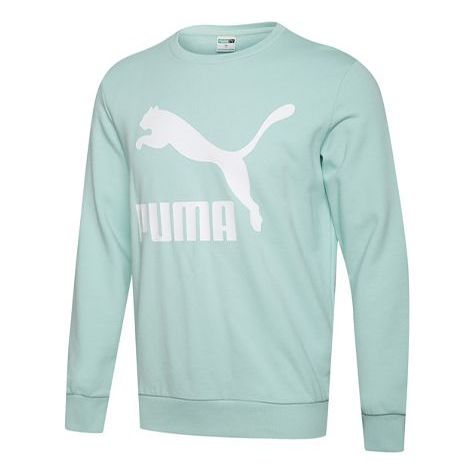Sweater Puma Puma Classics Crewneck Sweatshirt Grøn | 595892-32