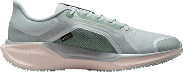 Sneakers og sko Nike Pegasus 41 GORE-TEX Flerfarvet | fq1356-007, 3