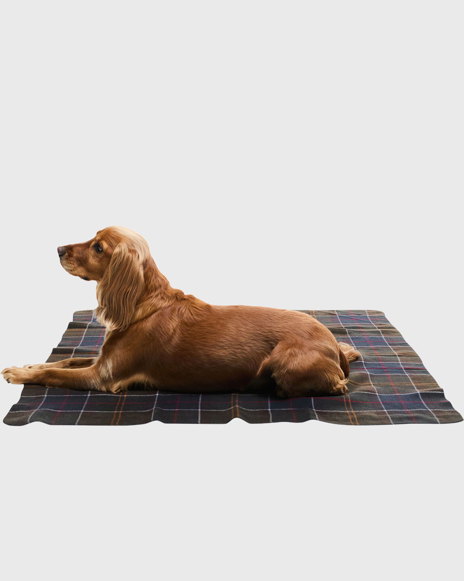 Home decor Barbour Classic Tartan Dog Blanket Flerfarvet | DAC0122TN11, 1