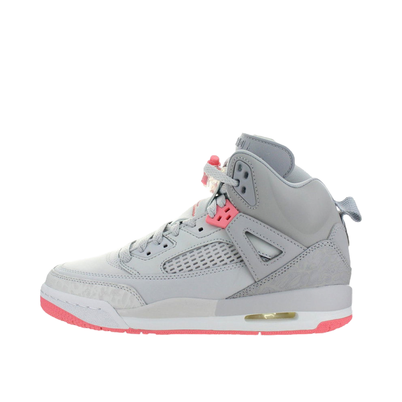 Sneakers og sko Jordan Jordan Spizike Grå | 535712-026